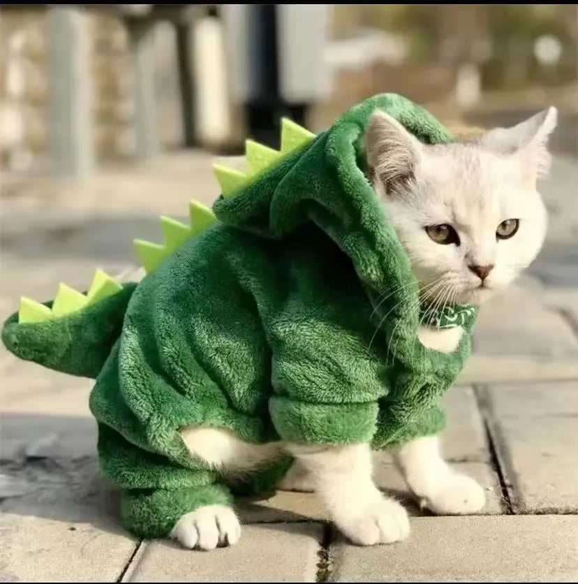 MIOU Dino-Kostüm
