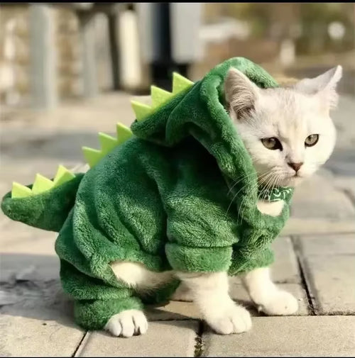 MIOU Dino-Kostüm