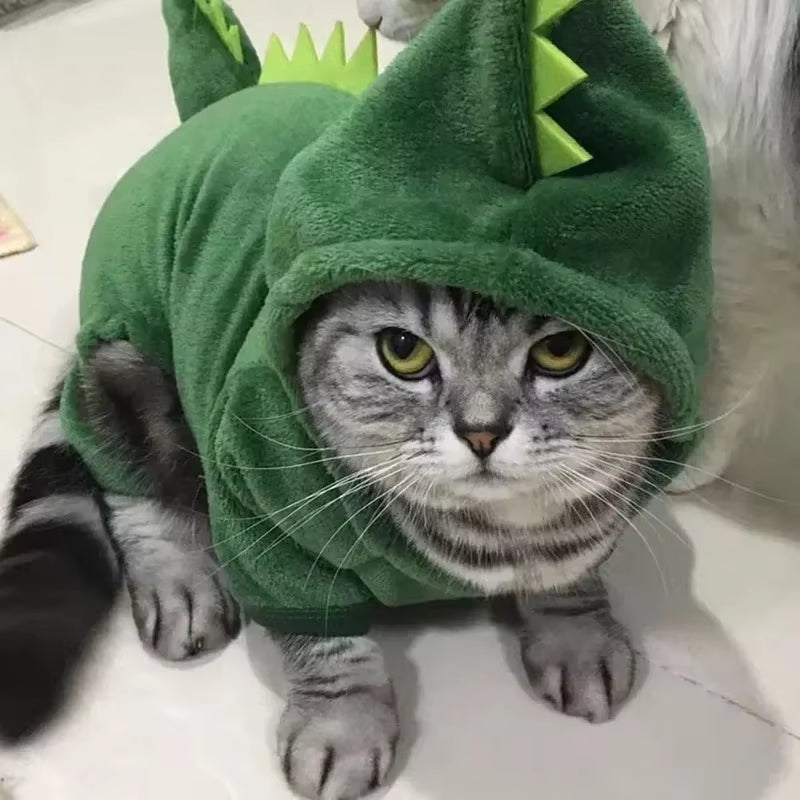 MIOU Dino-Kostüm